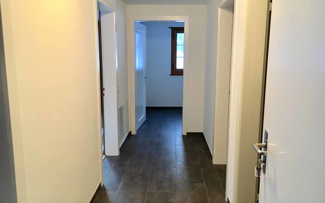 Wohnungsumbau Lenkstrasse EG